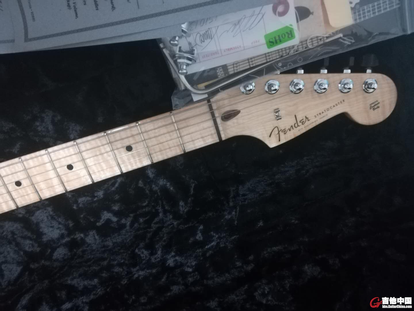 f6.jpg