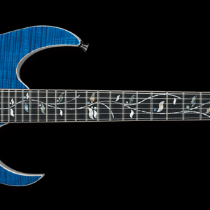 RG8570Z_RBS_00_01.png