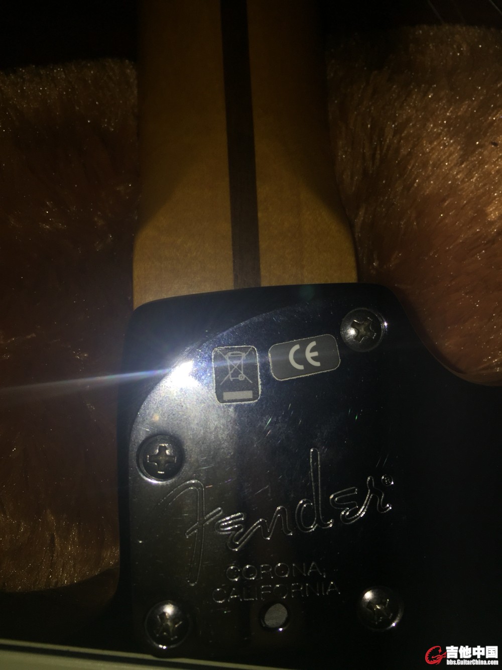 picture.jpg