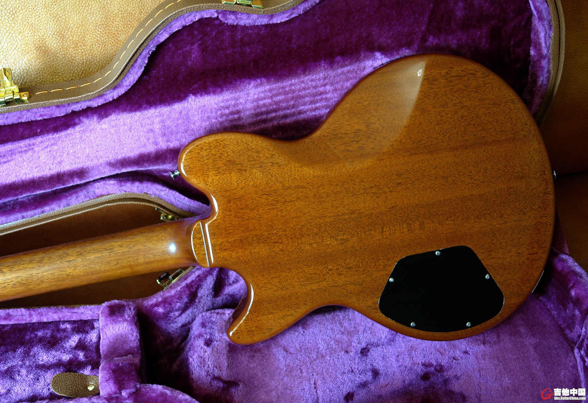 Sugi 59 Setneck_7.jpg