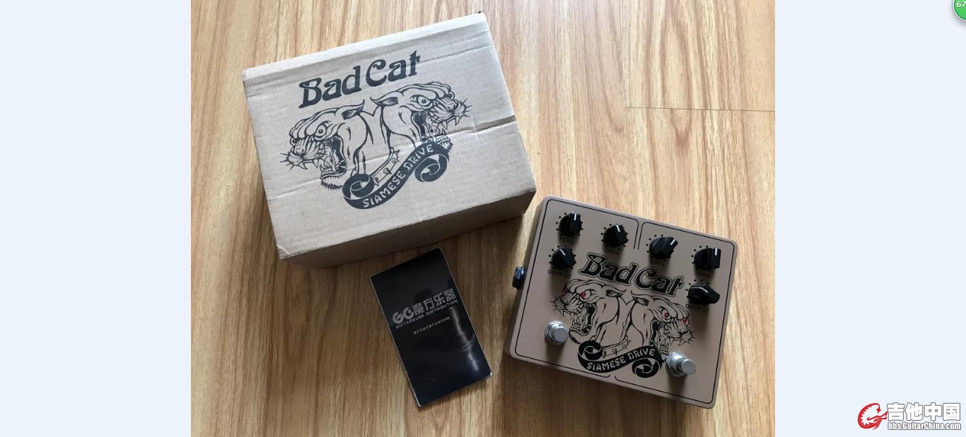 Bad Cat Slamese Drive.jpg