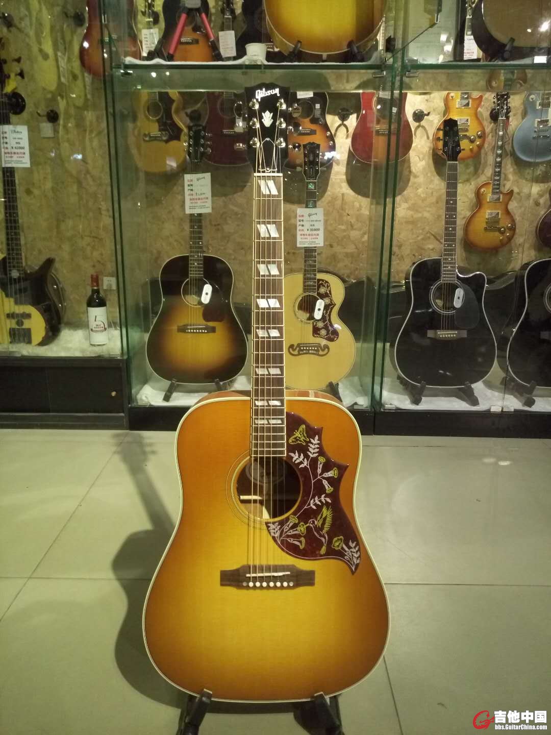 Gibson蜂鸟
