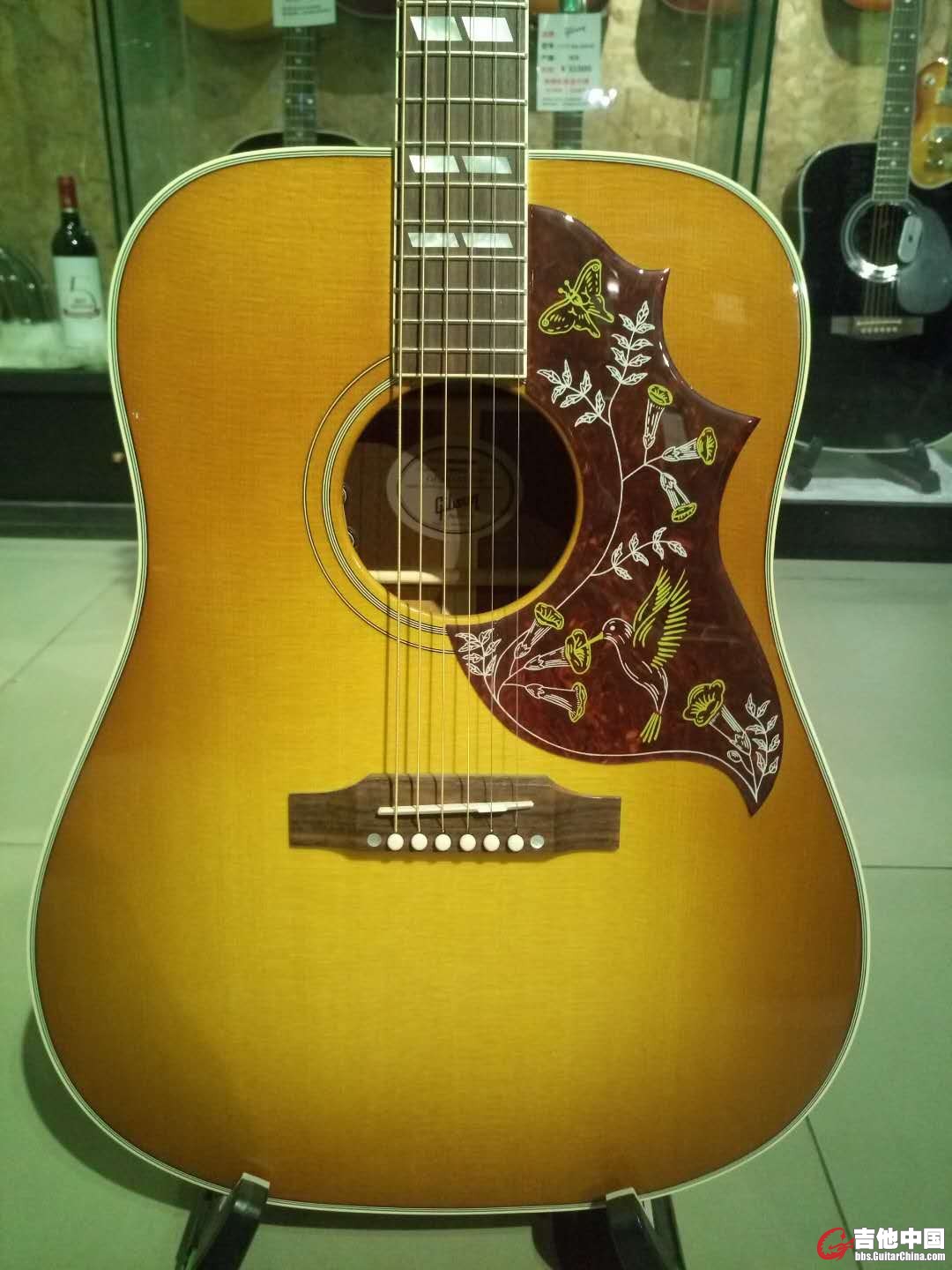 Gibson蜂鸟