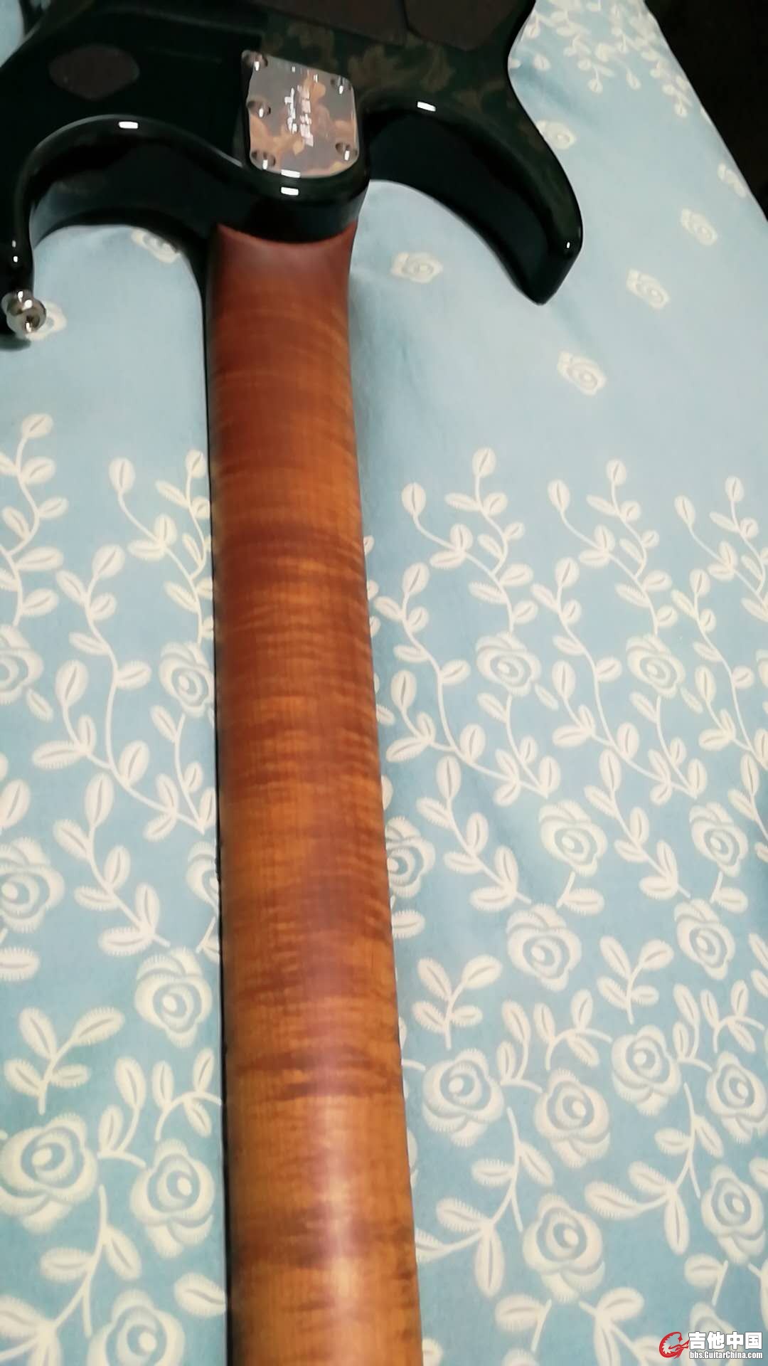 琴颈