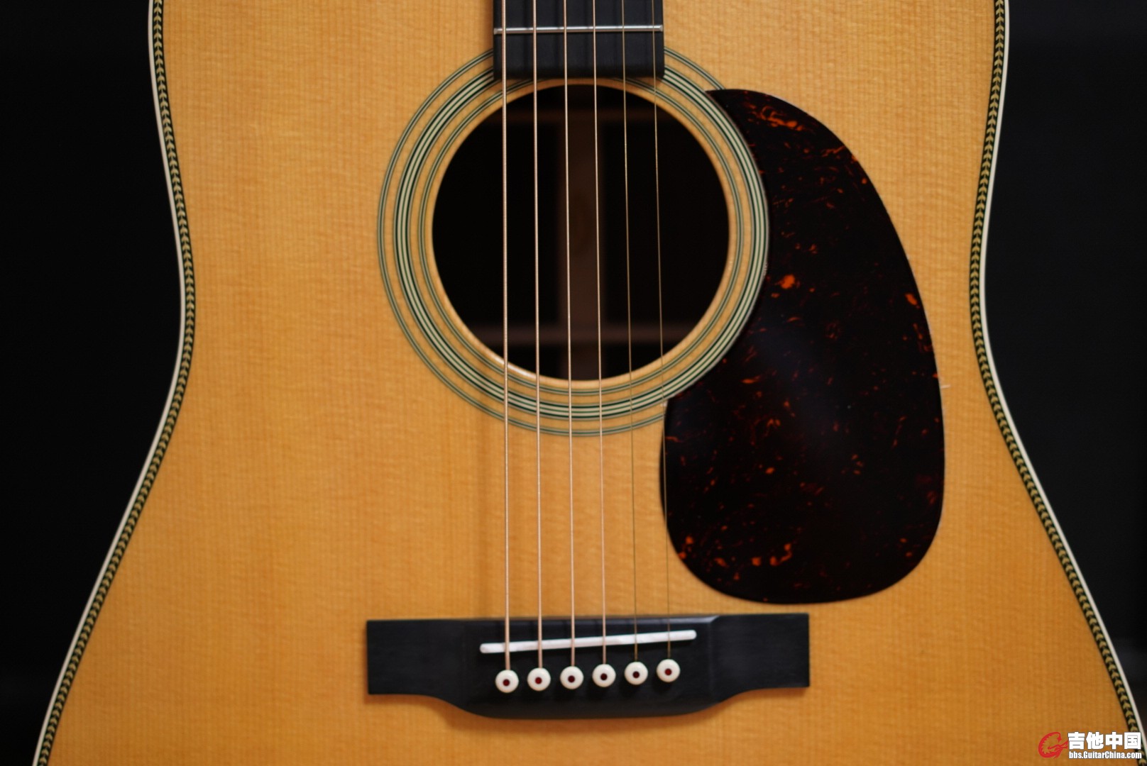 LRG_DSC01610.JPG