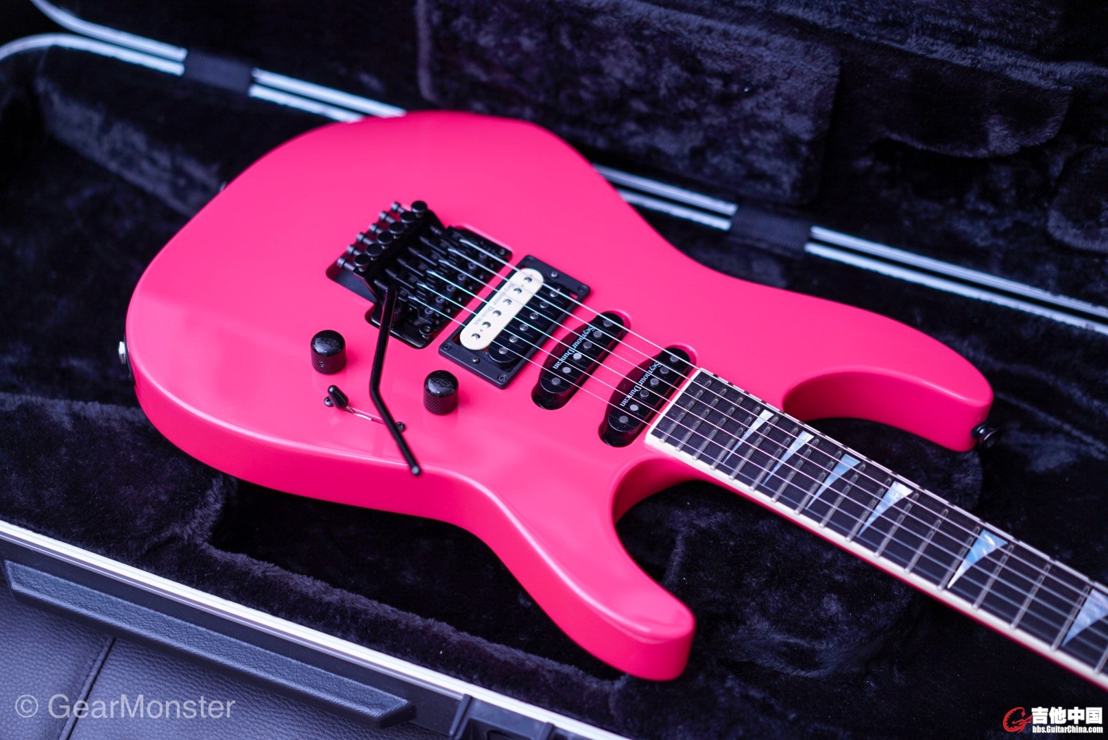 LRG_DSC02523.JPG