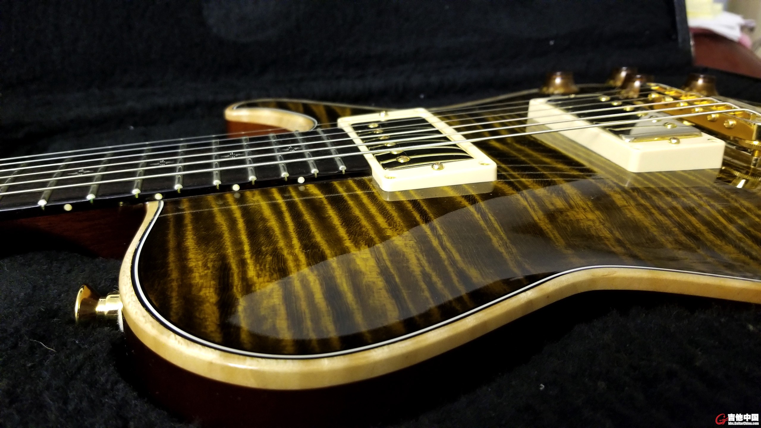 Knaggs Kenai T1 in Sunflower_4.jpg