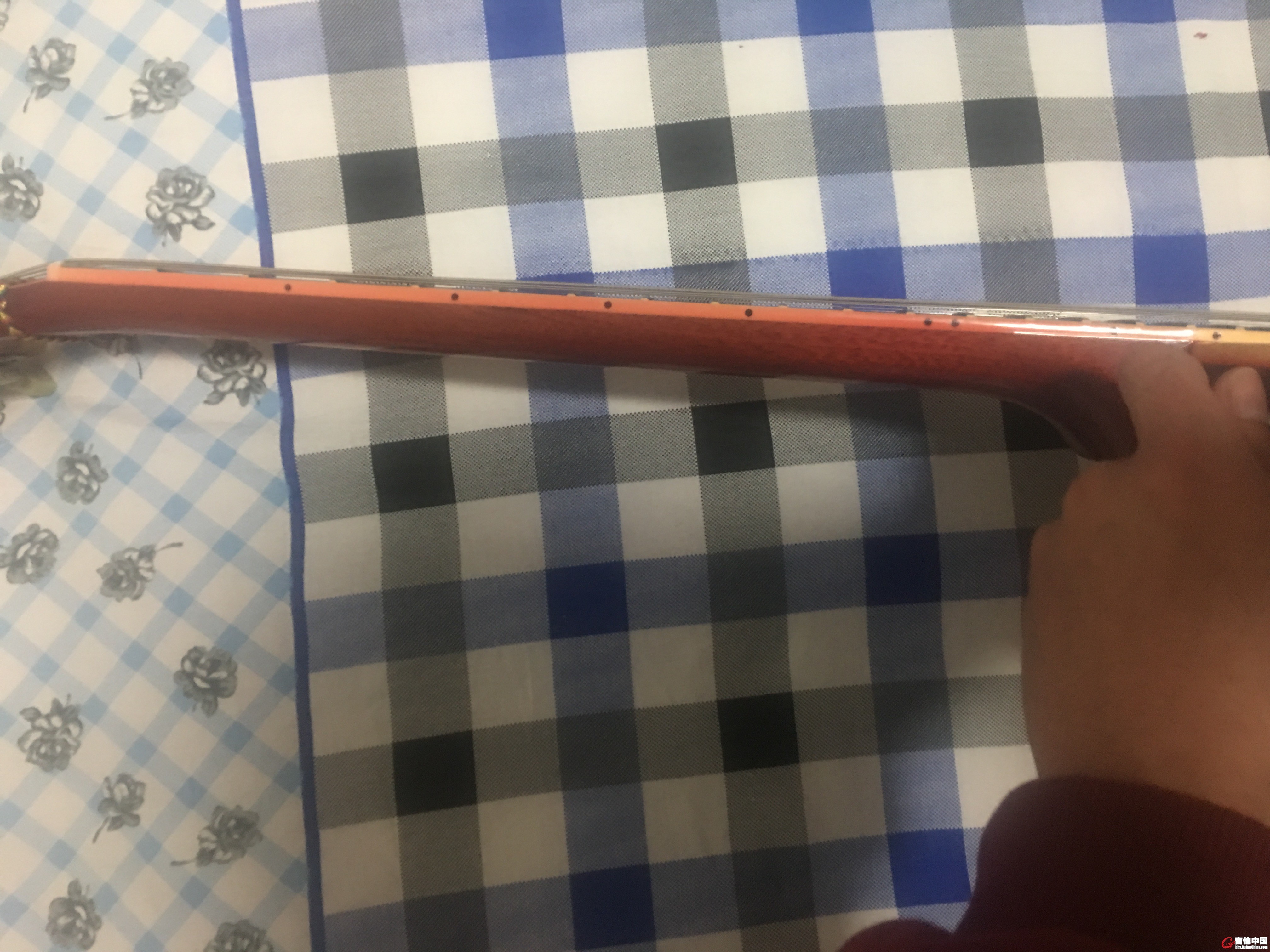 微信图片_201811051608026.jpg