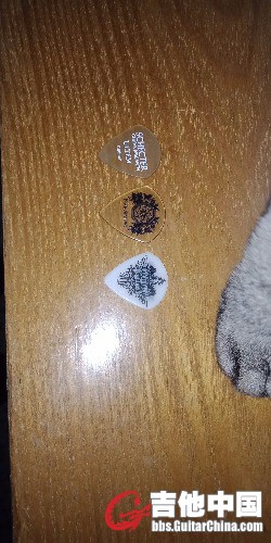 IMG20181123125846.jpg