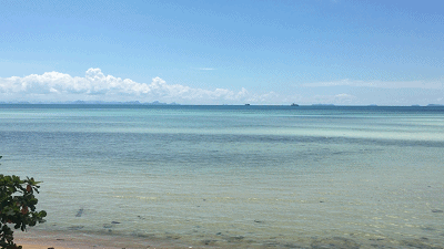IMG_3597_20181212233213.gif