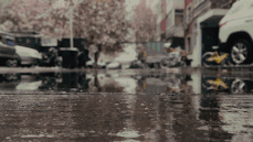soogif1.gif