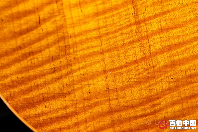 LRG_DSC02479.JPG