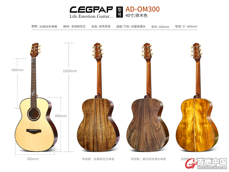 LEGPAP莱柏吉他AD-300_副本.png