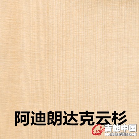 阿迪朗达克云杉.jpg