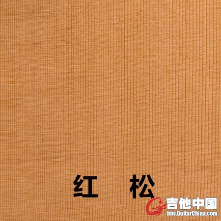 红松.jpg