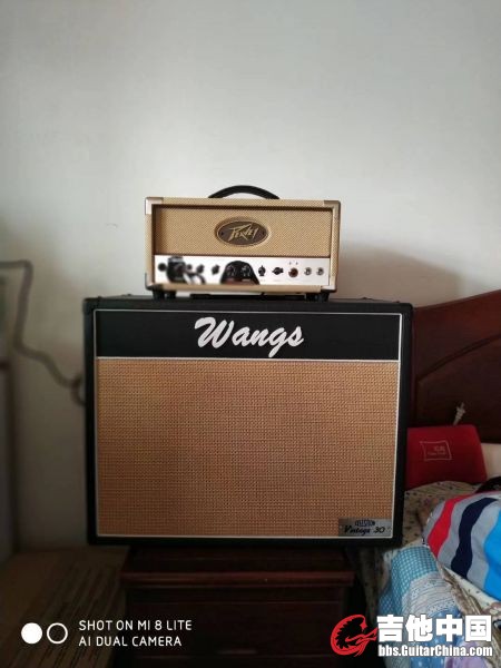 Peavey Classic 20MH.jpg