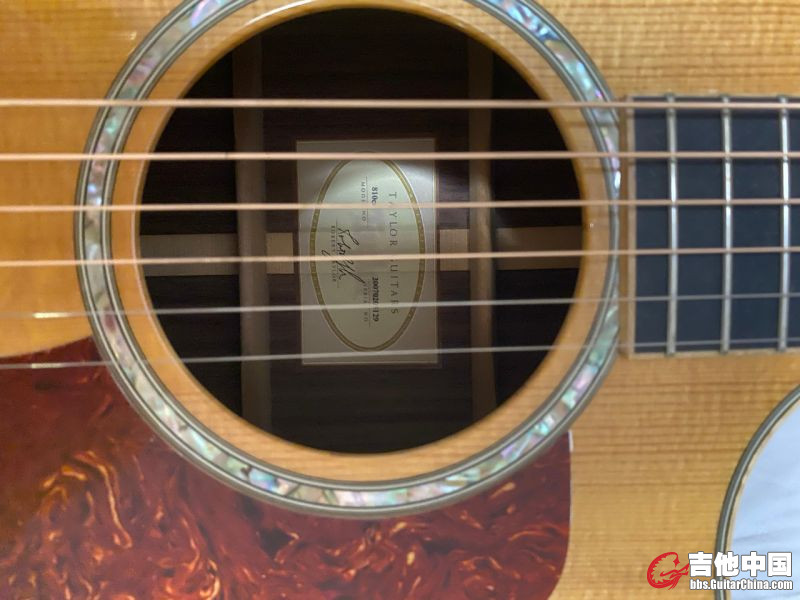 Taylor 810ce