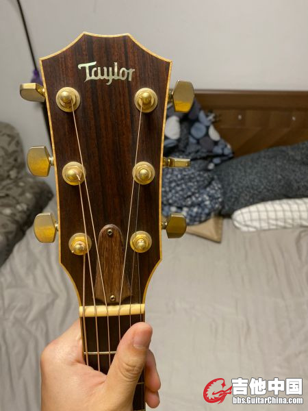 Taylor 810ce