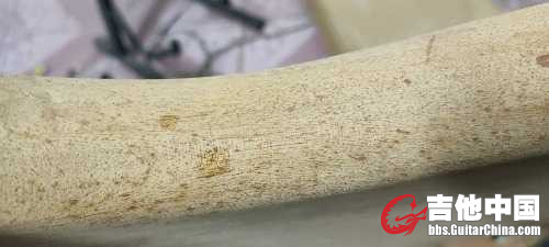 IMG20211001223335.jpg