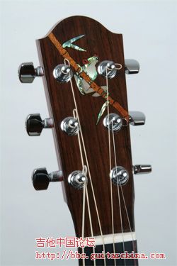 Tree-Frog.jpg
