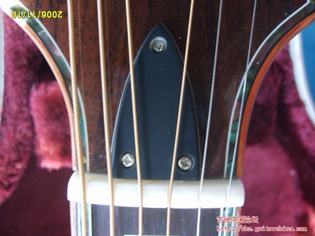 照片 450.jpg