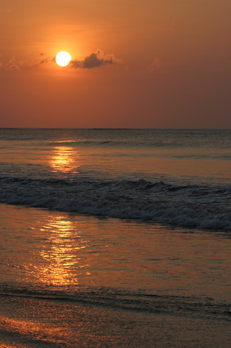 IMG_8168.JPG