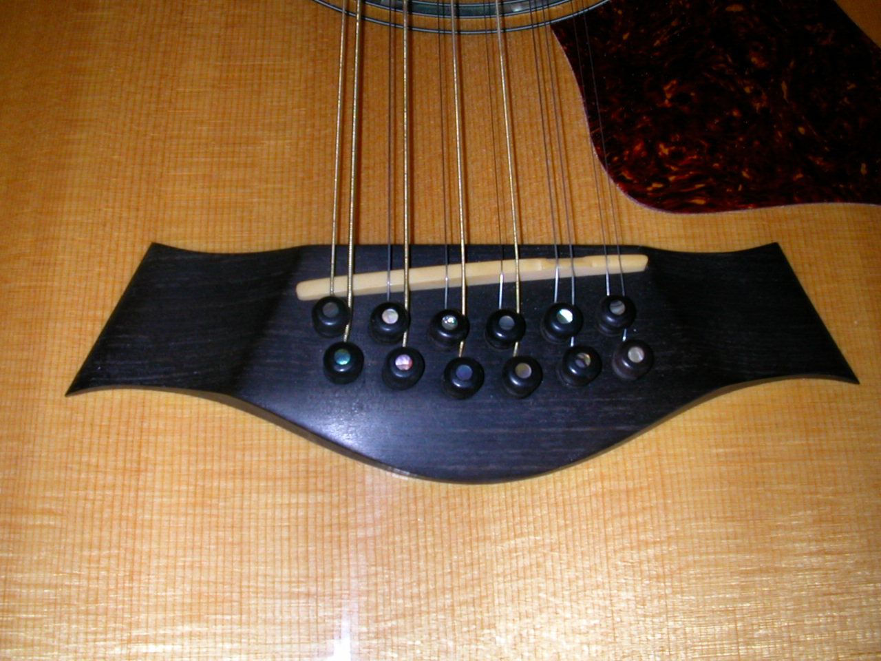 DSCN5340.jpg