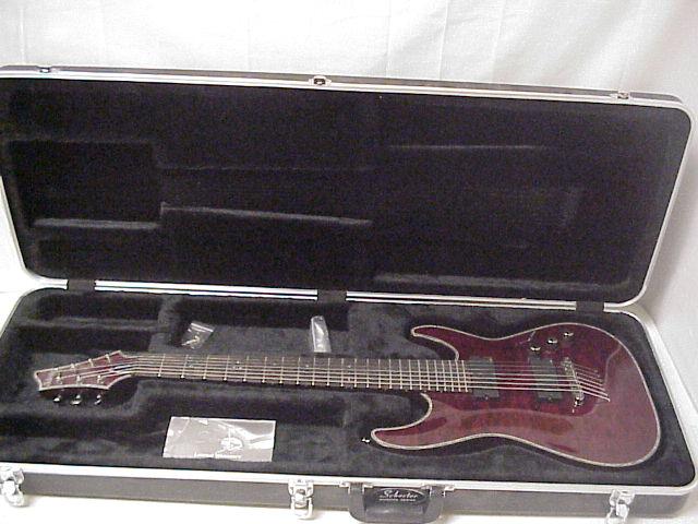 01schecter.jpg