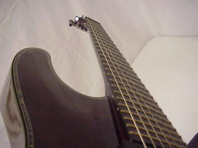 06schecter.jpg