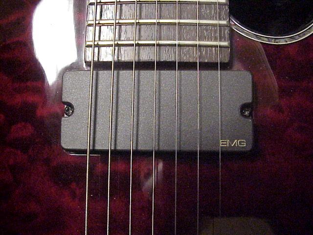18schecter.jpg