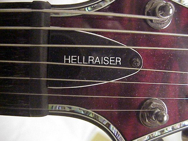 20schecter.jpg