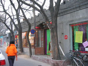 IMG_0137.jpg