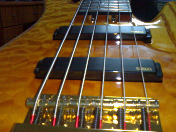 20070227750.jpg