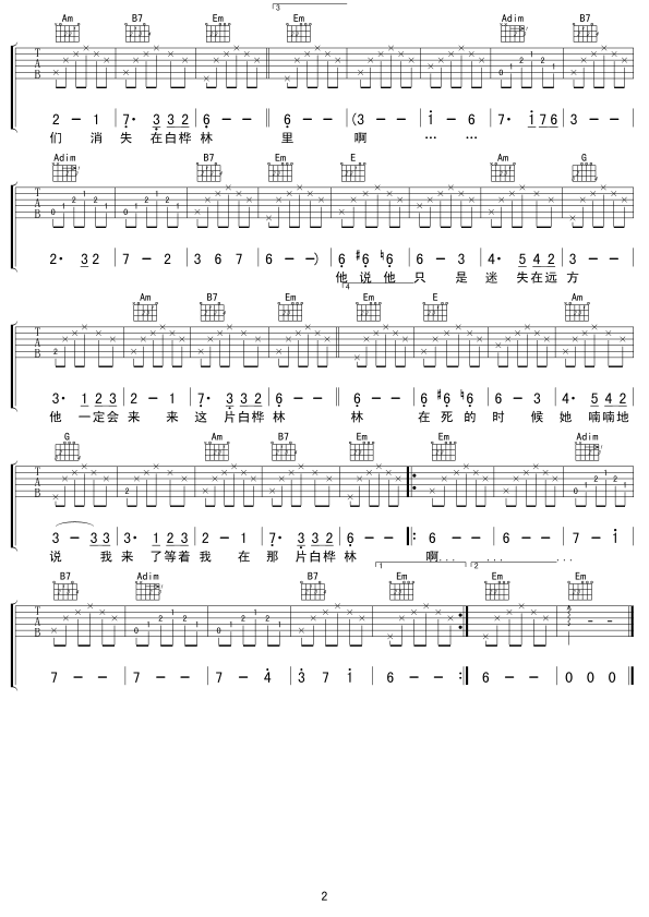 白桦林b.gif