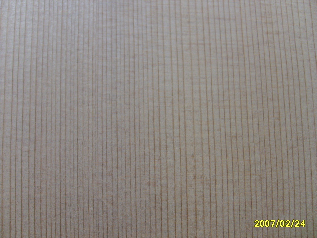 照片 790.jpg