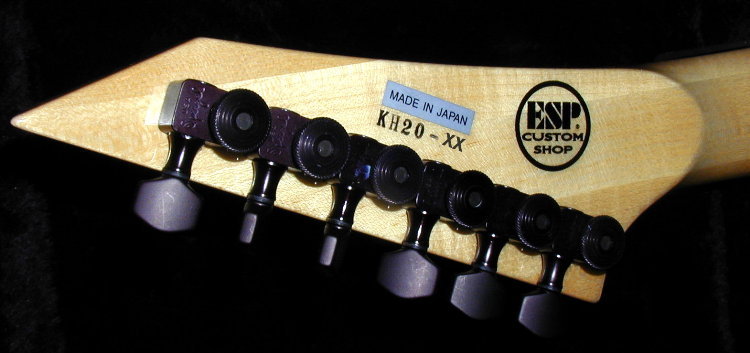 P3131698a.jpg
