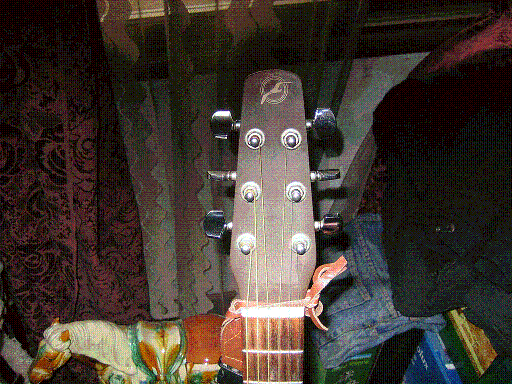 IMG_0039.GIF