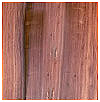 Honduran rosewood.jpg