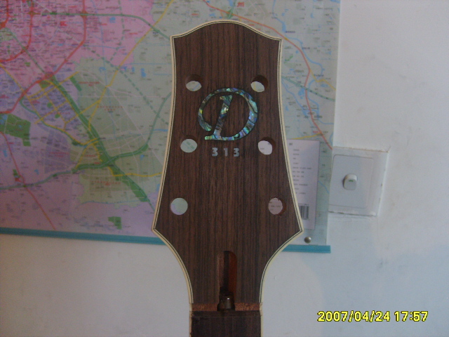 S5003496.JPG