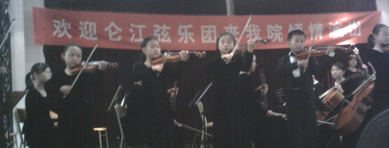 第二提琴.jpg