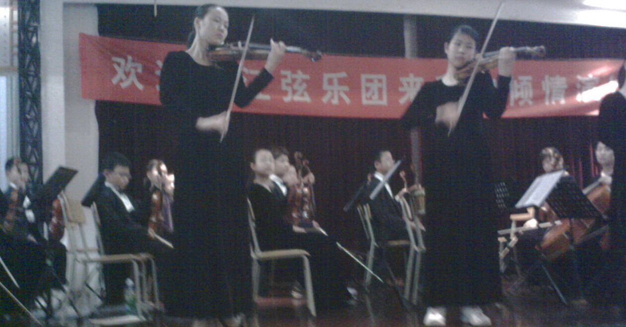 第一提琴.jpg