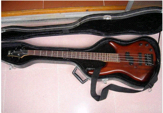 贝司.GIF
