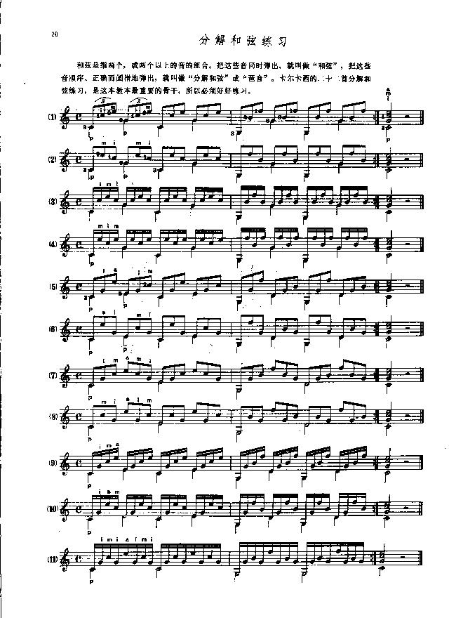 p20.JPG