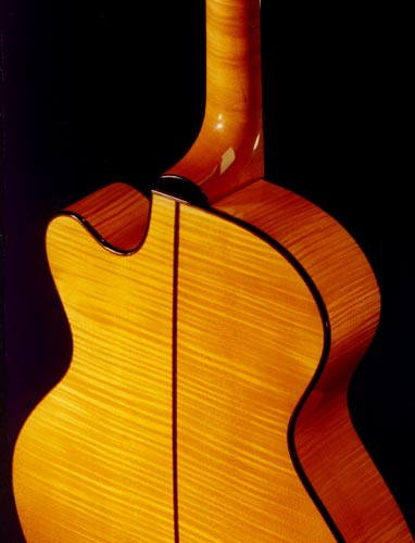 re-curly-maple-lg.jpg