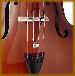fishman_bp100_install.jpg