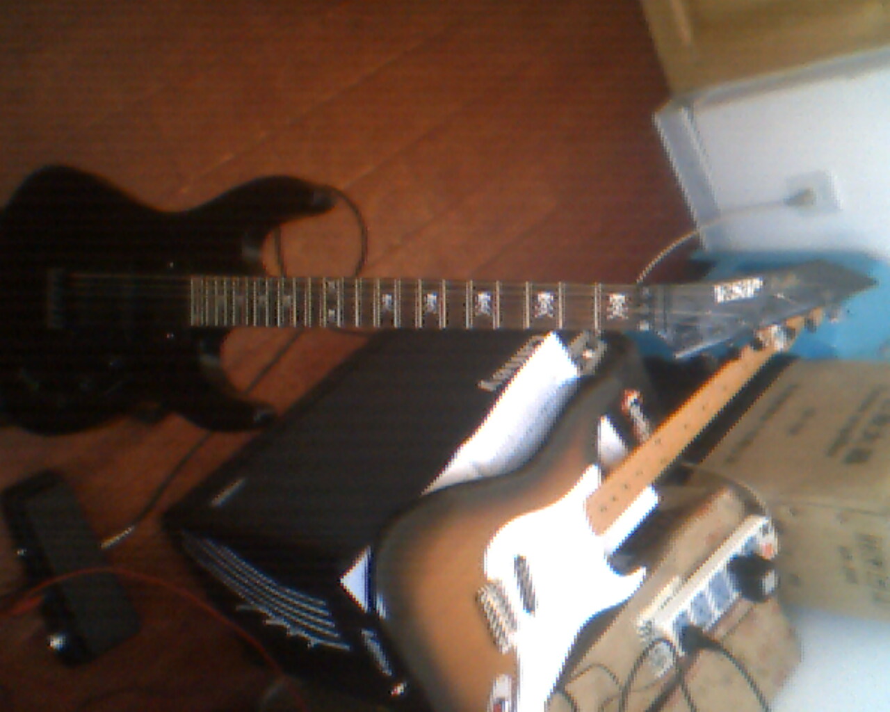 IMG0289A.jpg