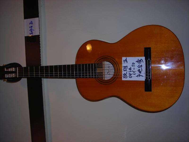 DSCN7497.jpg