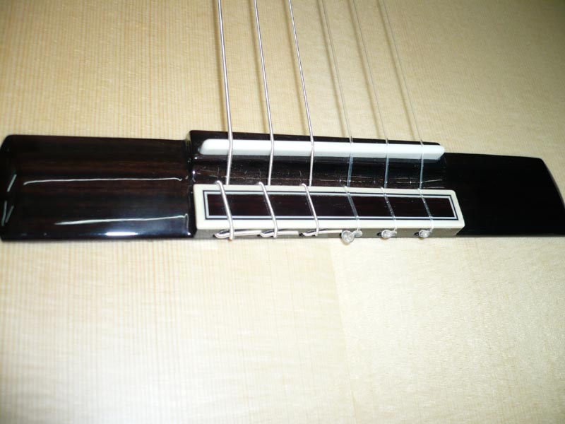 P1000390.jpg