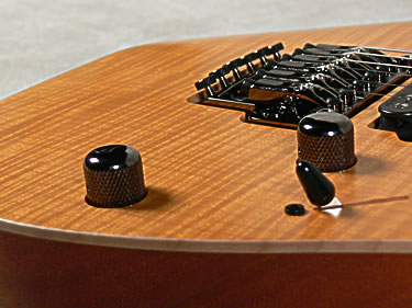 hrg2007_5.jpg