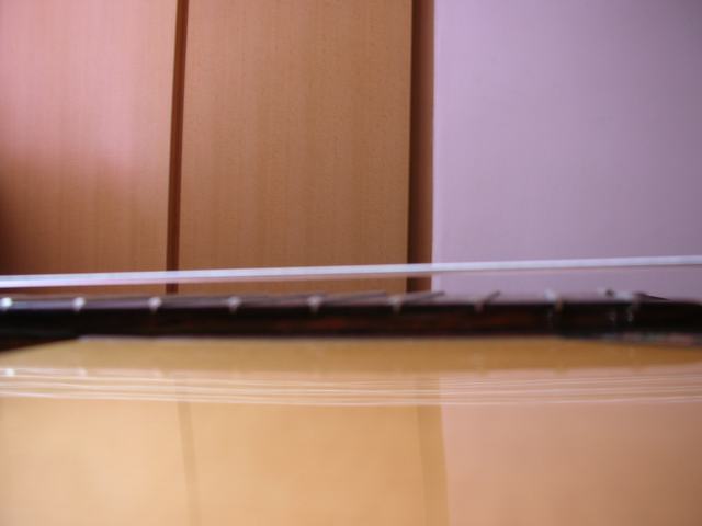DSCN0784.JPG